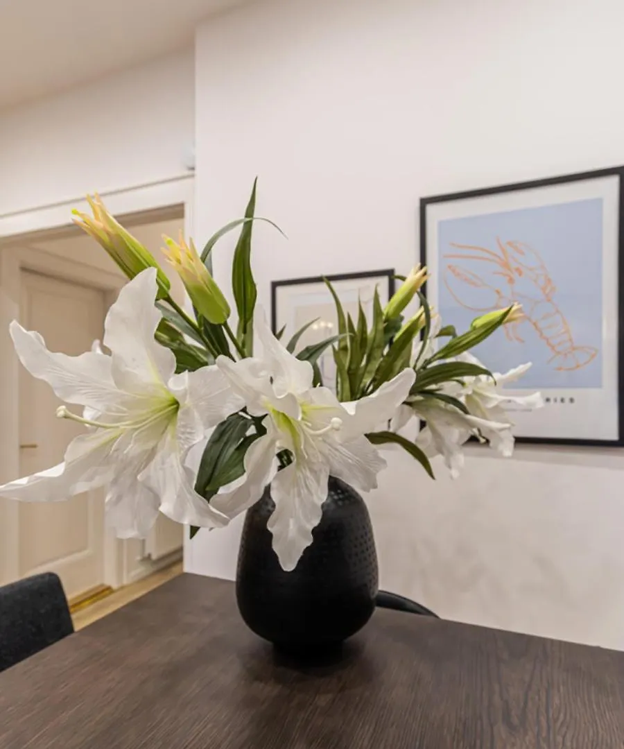 Apartment 80 Sqm, 3 Bedrooms, 2 Bathrooms, New Budapest Hungary